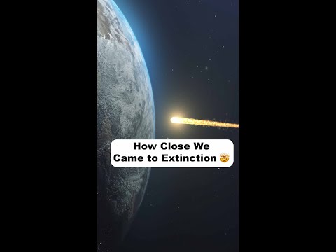 How Close We Came to Extinction 🤯