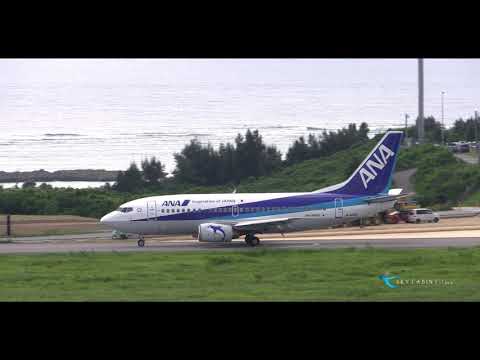 【ありがとうゴマちゃん!! 石垣の海との思い出!! 】ANA Wings(AKX) Boeing737-500 JA306K