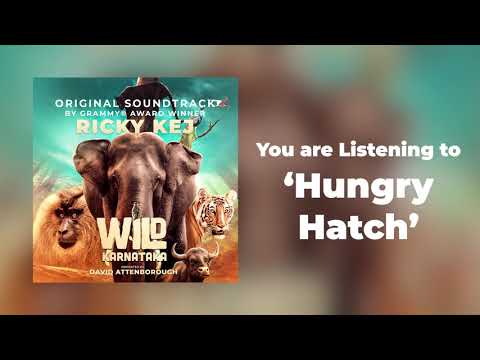 18 Wild Karnataka - Hungry Hatch - Original Soundtrack by Ricky Kej