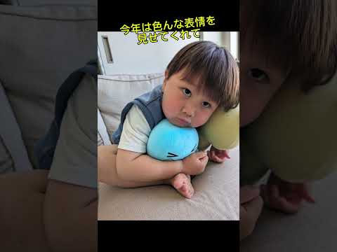 子の成長見てたら出てきた、見たら食べたくなってくるやつ#2024 #地域圧倒的ナンバーワン #京都 #伏見 #きな粉 #わらび餅 #すぐ消しちゃうかも