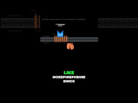 QISS and G Protein Coupled Receptors #shorts  #anatomy #science