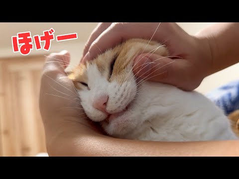 朝から顔面をこねくり回されてしまうロビン