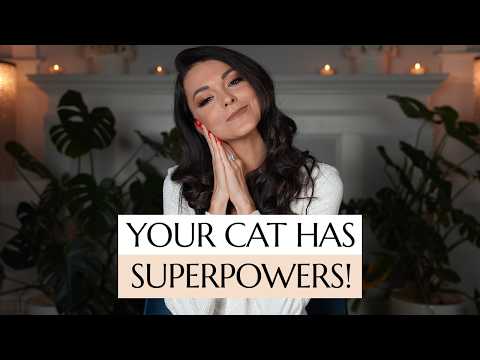 3 Biggest Spiritual Powers of Cats Explained