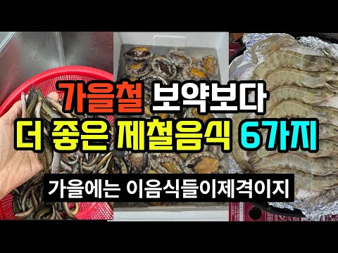 가을 보약보다 더 좋은 제철음식 6가지! 건강 챙기세요