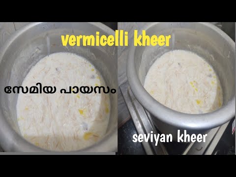 SEMIYA PAYASAM/VERMICELLI KHEER/SEVIYAN KHEER/വെറും 15 മിനുട്ടിൽ അടിപൊളി രുചിയിൽ@ishalinayahvlog