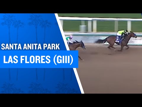 2025 $100,000 Las Flores Stakes (G3) at Santa Anita