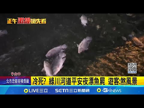 冷死? 綠川河道平安夜漂魚屍 遊客:煞風景｜三立新聞網 SETN.com