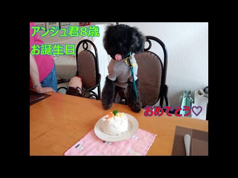 T&N diningのお客様アンジュ君8歳のお誕生日パーティー今年も楽しくお祝いしました♡