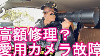 【NikonZ9】愛用カメラ‐ニコンのフラッグシップミラーレスカメラZ9が故障して修理！？黒い点が写真に複数？新望遠レンズF5.6-6.3-180-600mm望遠レンズ使用後の感想