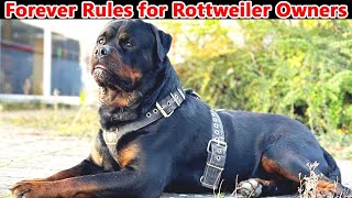 8 Things You Should Forever Do With A Rottweiler Dog || Rottweilers The Competition