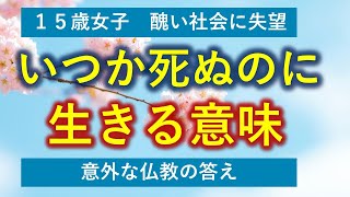 【１５歳女子の投書】醜い世界に生きて やがて死ぬのに生きる意味はあるの？　歎異抄の意外な答えとは