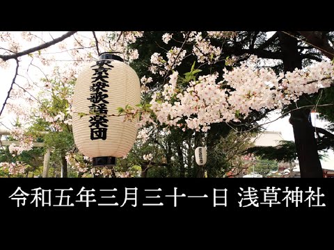 東京大衆歌謡楽団 令和五年三月三十一日 浅草神社 奉納演奏