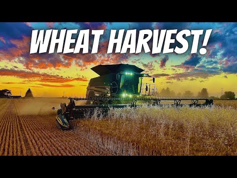 Wheat Harvest 2024! Start to finish in Idaho!