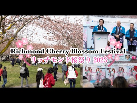 255本の桜の木が楽しめる Richmond Cherry Blossom Festival（リッチモンド桜祭り）2023