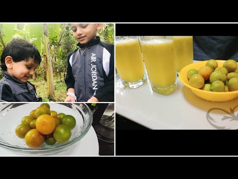 വീട്ടുമുറ്റത്തെ ഓറഞ്ച്🍊 കൊണ്ടൊരു ജ്യൂസ് ഉണ്ടാക്കിയാലോ /Fresh Orange Juice