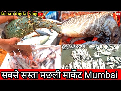 मुंबई का सबसे सस्ता होलसेल फीश मार्केट मालाड।।Mumbai Malad Fish मार्केट।। मुंबई मछ्ली मार्केट।।