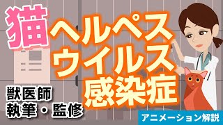 猫ヘルペスウイルス感染症について【獣医師執筆監修】症状から治療方法まで