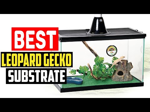 ✅Top 5 Best Leopard Gecko Substrate in 2023