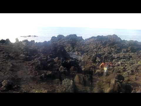 八丈島合宿　ポイント紹介　あらいけ