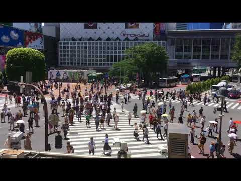 渋谷スクランブル交差点のタイムラプス～スターバックスコーヒー SHIBUYA TSUTAYA店より