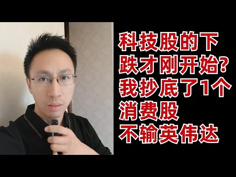 科技股的下跌才剛開始? 我抄底了1個消費股,不輸NVDA(不是美股投資建議哦)