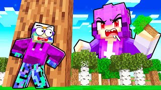 TINY vs GIANT Hide and Seek in Minecraft!