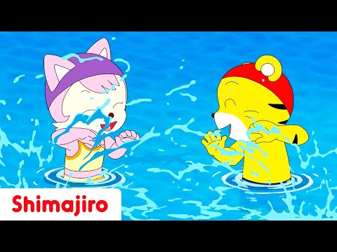 🌞 SPECIAL SUMMER EDITION 💦 | Playing in the Sun with Shimajiro 🏖️ | Nursery Rhymes for Kids 🎶