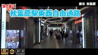 【歩き撮り】秋葉原駅東西自由通路＠東京  秋葉原 ４K (21:9)  Tokyo walking video