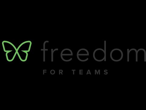 For a Happy and Productive Team – Give Them Freedom