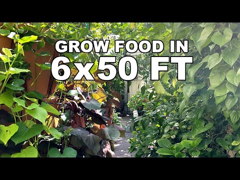 How to Maximize Food Production in Small Space: National Heirloom Expo 2023