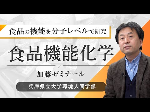 加藤陽二ゼミ（食品機能化学）ー兵庫県立大学環境人間学部