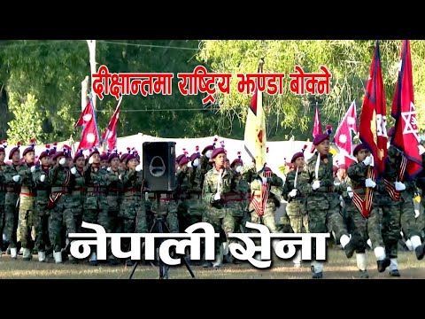 रास्ट्रीय सेवा दल सि. स.४८ | दिक्षान्त समाहरो || NCC Training Kohalpur #2081