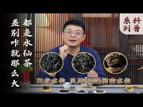 都是水仙茶，差别咋就那么大呐？