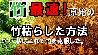 竹を枯らす最強方法！手早く地下茎や竹草も枯らした原始竹枯らし者。