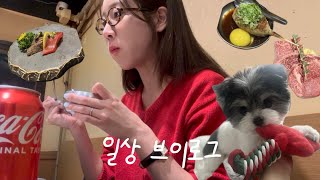 vlog | 12월 일상브이로그🎄집밥최선생 | 혼술🥂| 한우오마카세 | 돼지갈비맛집