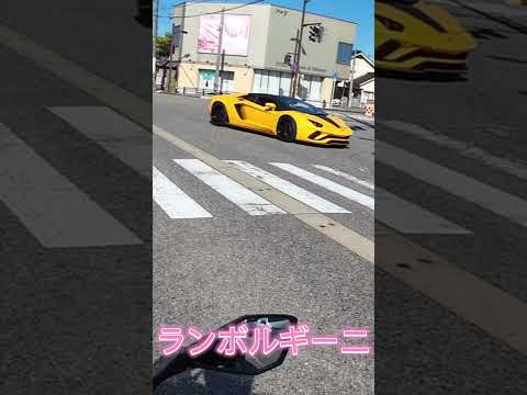 20241026 【スー バイクチャンネル】Lamborghini  #shorts