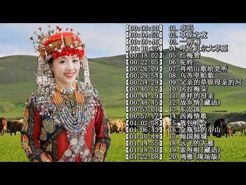 【中國藏歌】【经典老歌】西藏民歌 | Tibetan Chinese Songs女中音降央卓玛所有歌 ：(卓玛 - 草原之夜 - 一剪梅 - 呼伦贝尔大草原 - 红梅赞 - 驼铃)