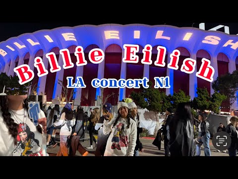 Billie Eilish LA concert vlog! Night 1