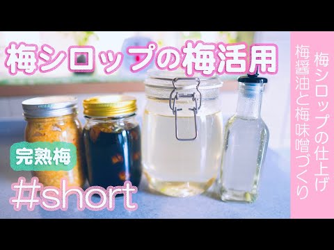 梅味噌と梅醤油作り。梅シロップの仕上げ#shorts