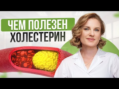 Холестерин – наш ДРУГ, а не враг! / Почему не стоит бояться жирных продуктов?