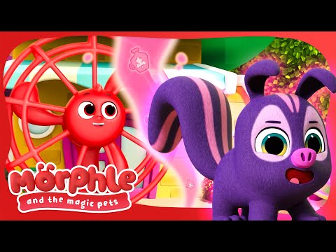 The Lost Pet | Morphle and the Magic Pets | Available on Disney+ and Disney Jr