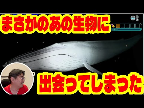 ゆったりダイビング。フォーエバーブルー ルミナスをやってみた。【Nintendo Switch】