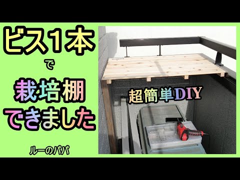 【ビス１本 de 栽培棚作成】超簡単DIY ルーのパパ