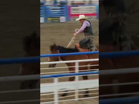 Cody Rodeo: The Bucking Bronco Capital of the World