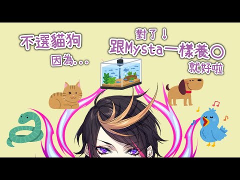 寵物選擇！不養貓狗的原因好貼心？最後不忘嘴一下Mysta【Shu Yamino || NIJISANJI EN 中字】