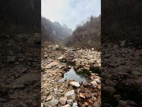 ASMR｜Nature Sounds for Sleep ｜Relaxing