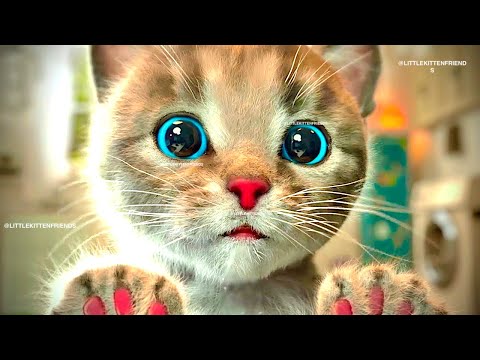 FUNNIEST CATS LITTLE KITTEN ADVENTURE😻 PLAY CAT CARE GAMES FOR BABY TODDLERS AND CHILDREN FOR KIDS