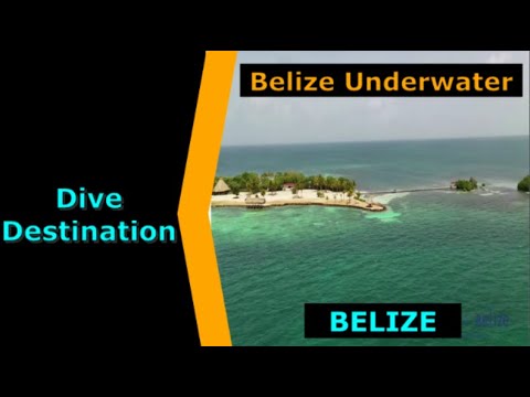 Diving Belize, Belize Underwater, Destination Spotlight for Scuba.Digital The #1 Online Dive Show