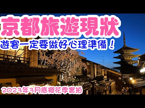 【日本旅遊】2023年3月最新京都自由行現狀更新・美食推薦・清水寺二年坂八坂神社賞櫻花 Kyoto Live Trip