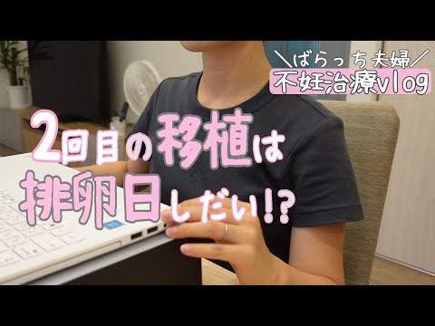 【不妊治療】排卵した？/子宮筋腫/当帰芍薬散/黄体ホルモン補充/デュファストン/自然周期/受診の様子/1人目妊活中